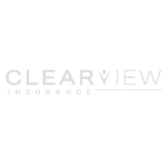 VIVA client logo